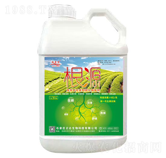 海藻甲殼素型微生物菌劑-根源-正達生物