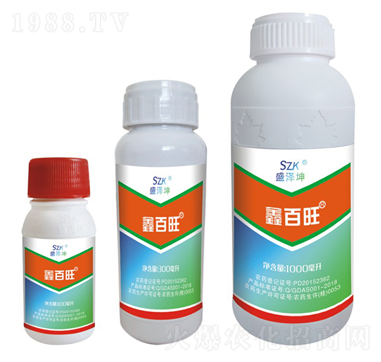 鑫百旺 盛澤坤