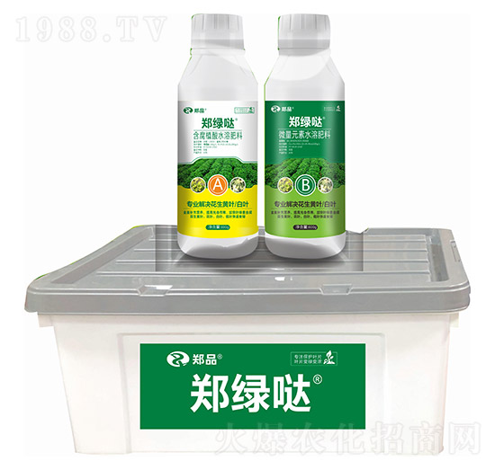 鄭綠噠 鄭品