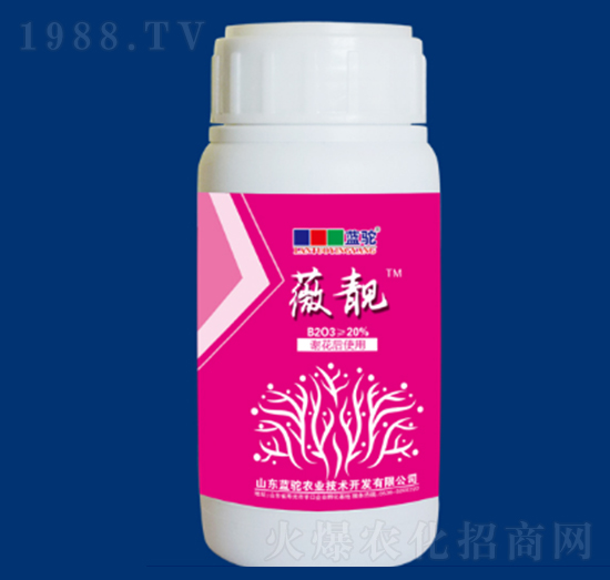 薇靚塊莖類-藍駝農(nóng)業(yè)