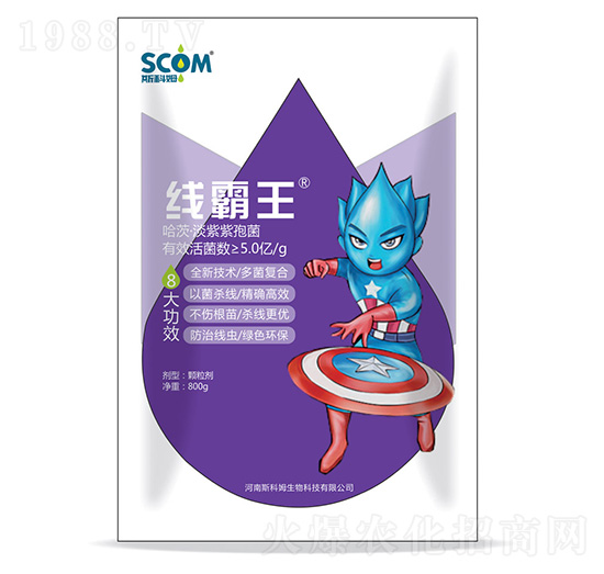 哈茨·淡紫紫孢菌-線(xiàn)霸王-斯科姆