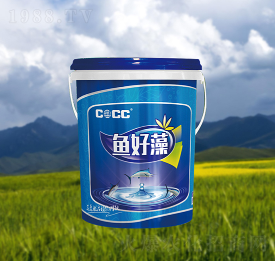 魚(yú)好藻-中海化建