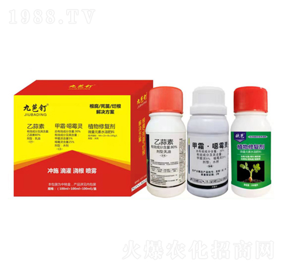 根腐死苗爛根解決方案-九芭釘-標正農化