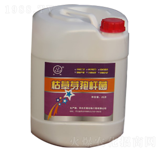 枯草芽孢桿菌濃縮液-研推生物