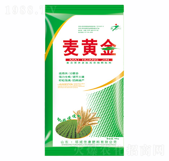 麥黃金-佳康