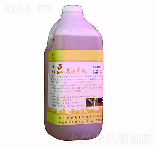 2000ml大豆根瘤菌劑液體-華創(chuàng)佳農(nóng)
