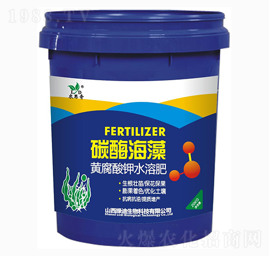 碳酶海藻-農思奇-綠迪