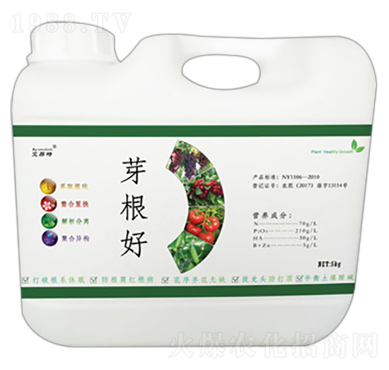 芽根好-艾昂特