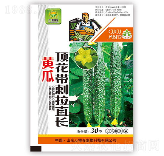 黃瓜頂花帶刺拉直長(zhǎng)-萬(wàn)物春