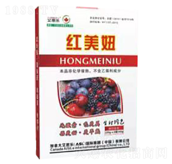 紅美妞-艾思樂