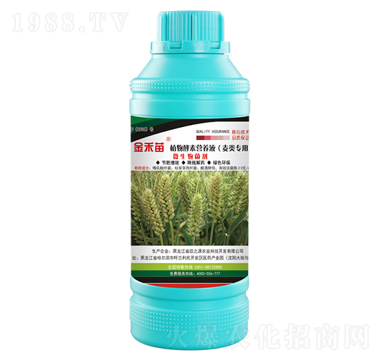 麥類專用植物酵素營養(yǎng)液-金禾苗-田之源