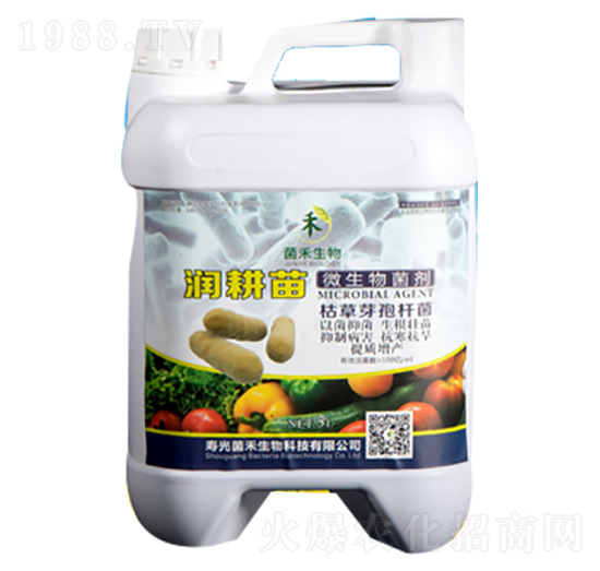 潤(rùn)耕苗枯草芽孢桿菌-菌禾生物