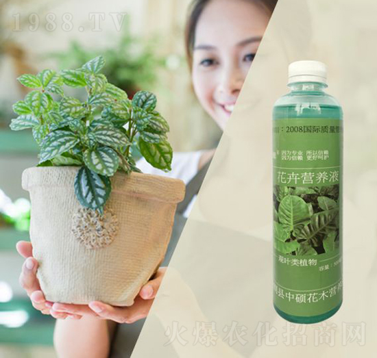 觀葉類植物專用營養(yǎng)液-林保姆-碩林肥料