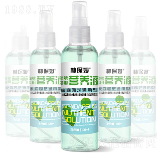 100ml綠蘿專用營(yíng)養(yǎng)液-林保姆-碩林肥料