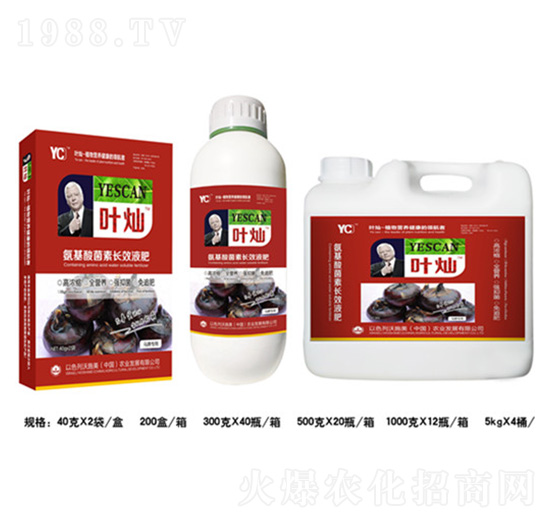 馬蹄氨基酸菌素長效液肥-葉燦-德化
