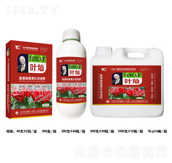 辣椒氨基酸菌素長(zhǎng)效液肥組合-葉燦-德化