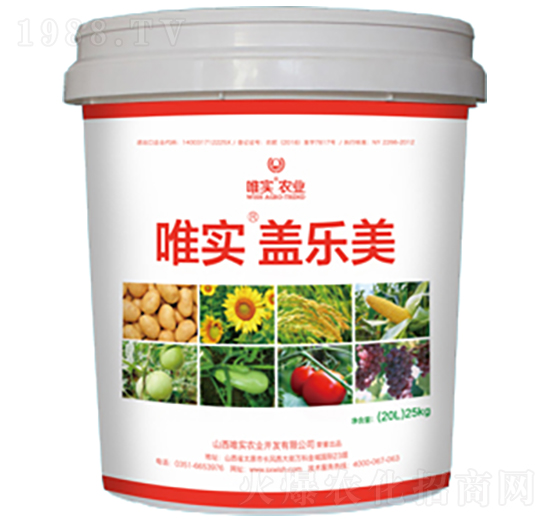 唯實·蓋樂美