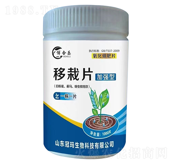 白粉虱薊馬蚜蟲(chóng)專用移栽片（加強(qiáng)型）-博合樂(lè)-冠瑪農(nóng)業(yè)