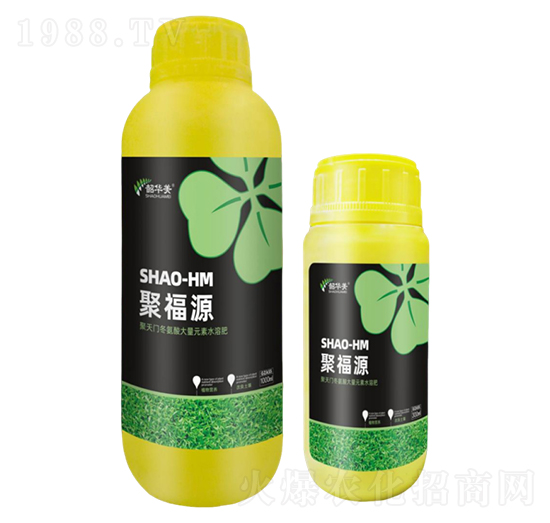 聚福源-韶華美