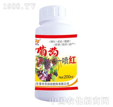 潤田-葡萄一噴紅