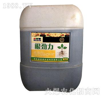根勁力-德地得