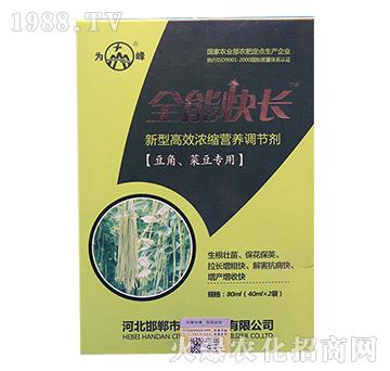 豆角、菜豆專用高效高效濃縮營養(yǎng)調(diào)控劑-全能快長-為峰肥業(yè)