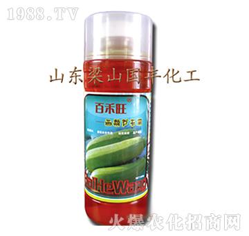 西葫蘆專用葉面肥-梁山國(guó)豐