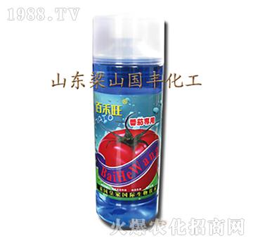番茄專用葉面肥-梁山國豐