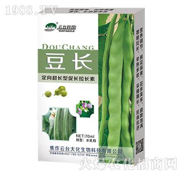 豆長-云臺大化