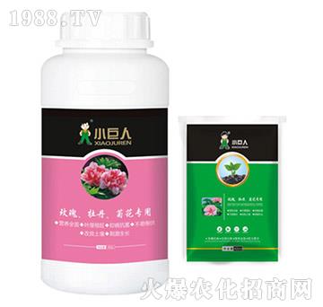 玫瑰、牡丹、菊花專用調(diào)節(jié)劑-小巨人