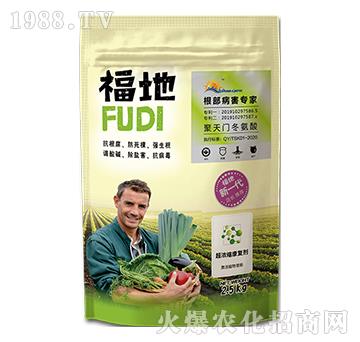 福地-特拉維爾