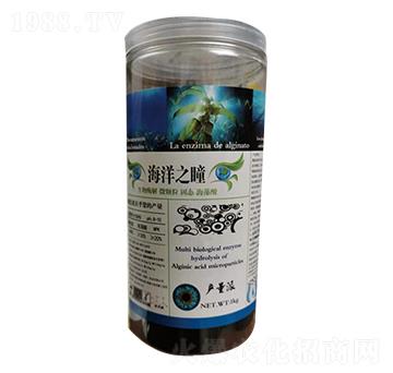 生物酶解固態(tài)海藻酸-海洋之瞳-中農(nóng)海聯(lián)