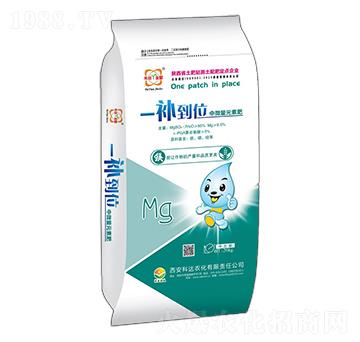 中微量元素肥-一補到位-科達農(nóng)化