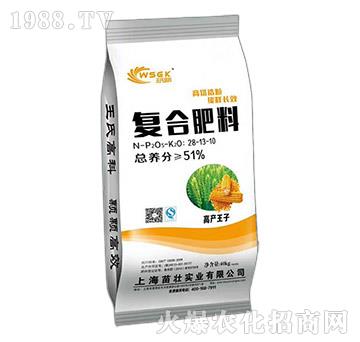 復(fù)合肥料28-13-10-苗壯實業(yè)
