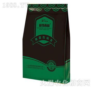 細(xì)菌性病害專(zhuān)用微生物菌劑-植物西林-北斗星