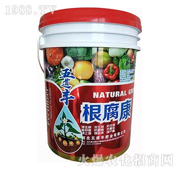 根腐康-五道豐