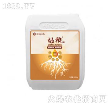 中量元素水溶肥料-燦根3號(hào)-澤潤