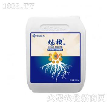 中量元素水溶肥料-燦根2號(hào)-澤潤