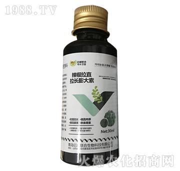 辣椒拉直拉長膨大素-匯豐植保