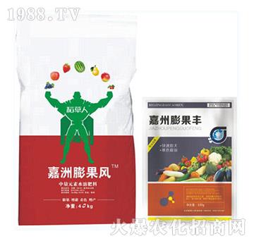 嘉州膨果豐-稻草人