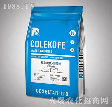 速溶硫酸鉀-0-0-51+TE-英彩鷹象-步克