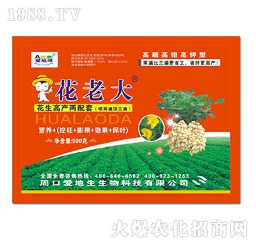 花老大-愛地生
