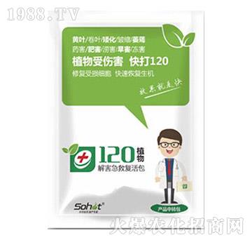 解害急救復活包-植物120-升華永樂