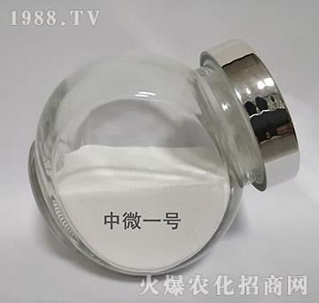 中微1號