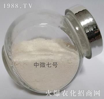 中微7號
