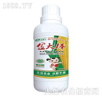 玉米控旺高產(chǎn)新搭檔-金大棒-蘭沃農業(yè)