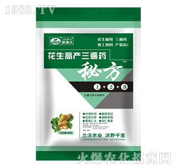 花生三遍藥-秘方-蘭沃農(nóng)業(yè)