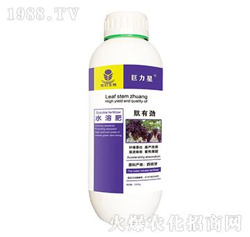肽有勁水溶肥-巨力星-龍燈生物
