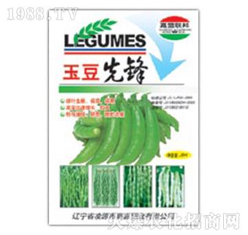 玉豆先鋒-嘉吉