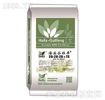 大量元素水溶肥料20-20-20+TE-海法谷粒豐-海法